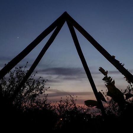 Clorofila House Glamping Naturista Ubatuba Extérieur photo
