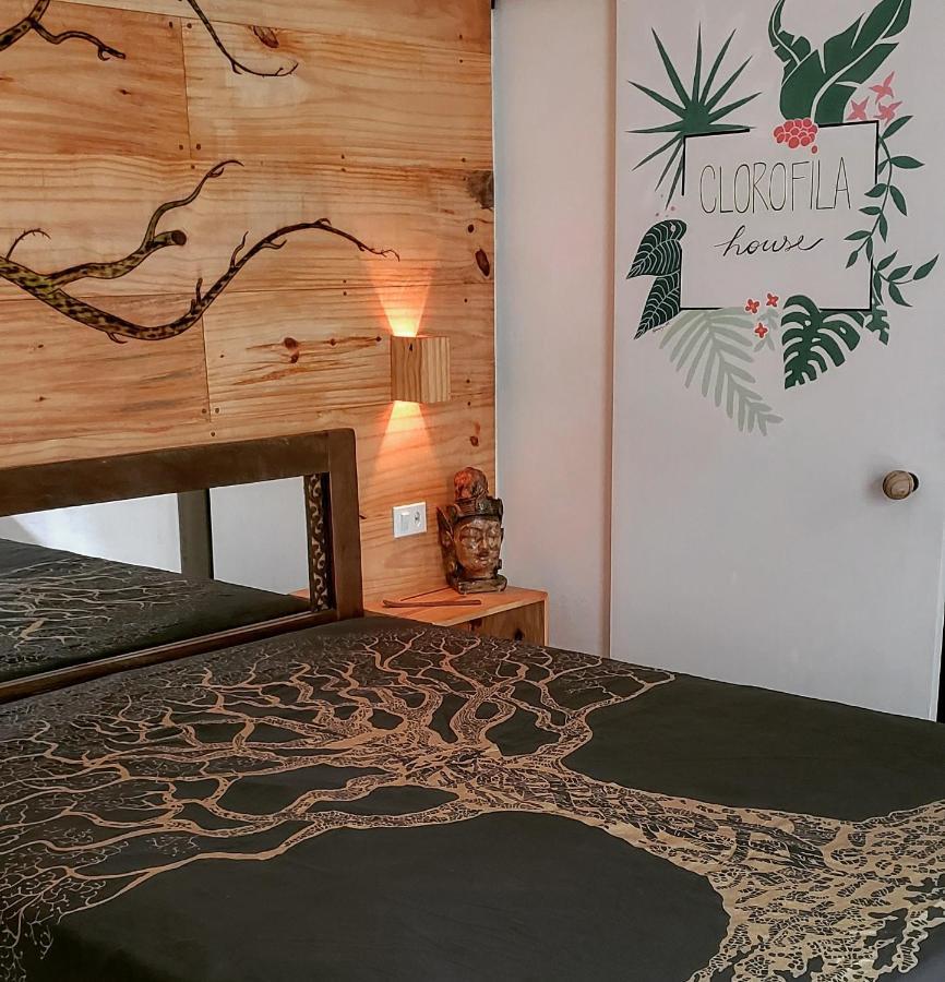 Clorofila House Glamping Naturista Ubatuba Extérieur photo
