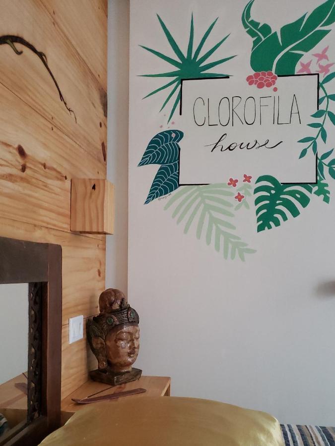 Clorofila House Glamping Naturista Ubatuba Extérieur photo