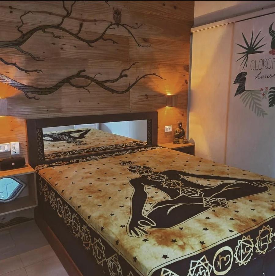 Clorofila House Glamping Naturista Ubatuba Extérieur photo