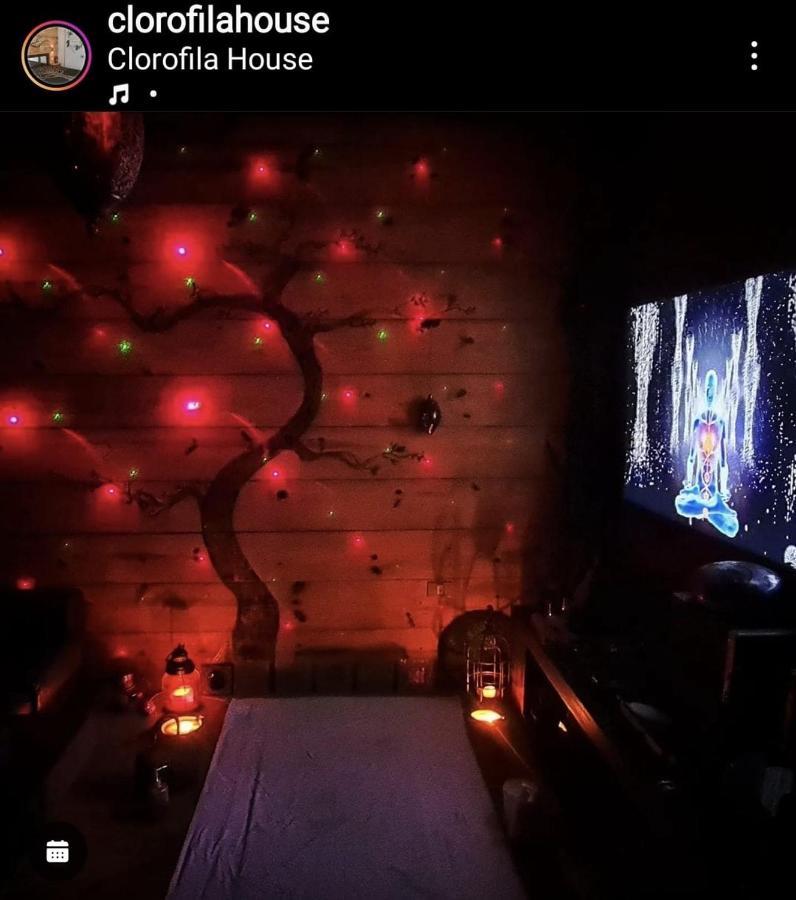 Clorofila House Glamping Naturista Ubatuba Extérieur photo