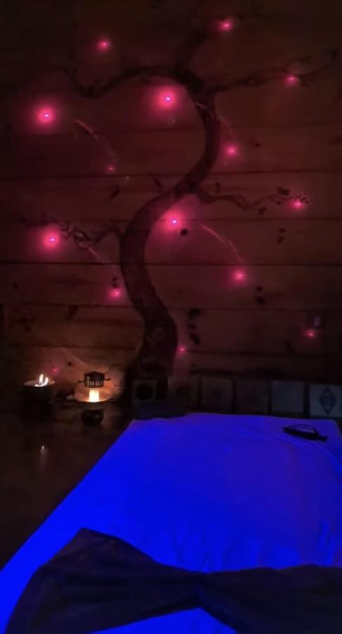 Clorofila House Glamping Naturista Ubatuba Extérieur photo